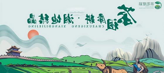 茶陵农业区域品牌培育策划案